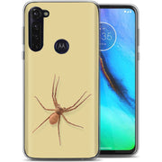 Spider Photo Print Slim Cover For Motorola Moto G (Power, Stylus, Play, 5G), Print in USA