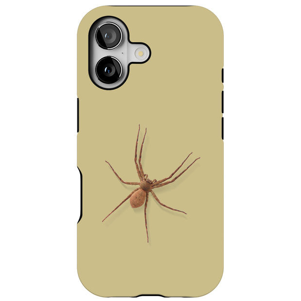 Spider Photo Tough Cases For Apple iPhone (17, 16, 15, 14, 13, 12, 11, X, SE, 8, 7/ Air, Plus, Pro, Max, Mini, XR, XS), Print in USA