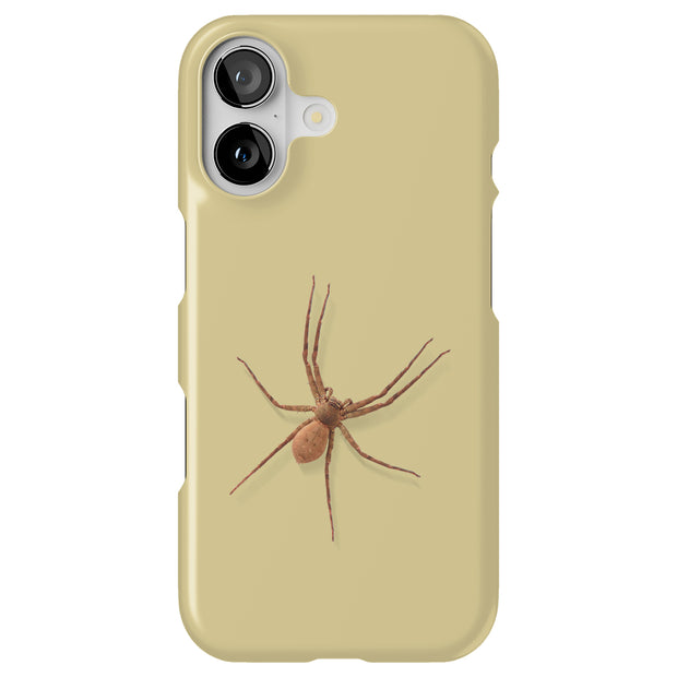 Spider Photo Tough Cases For Apple iPhone (17, 16, 15, 14, 13, 12, 11, X, SE, 8, 7/ Air, Plus, Pro, Max, Mini, XR, XS), Print in USA