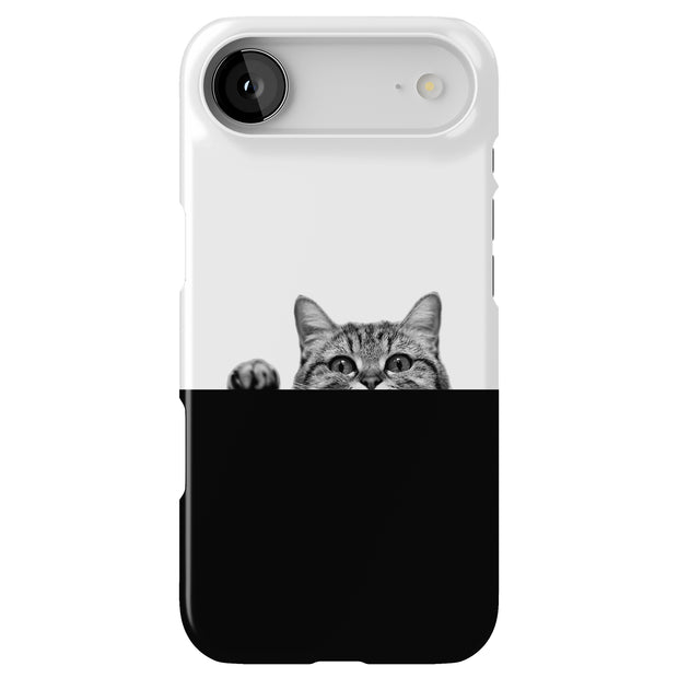 Hide Cat Tough Cases For Apple iPhone (17, 16, 15, 14, 13, 12, 11, X, SE, 8, 7/ Air, Plus, Pro, Max, Mini, XR, XS), Print in USA