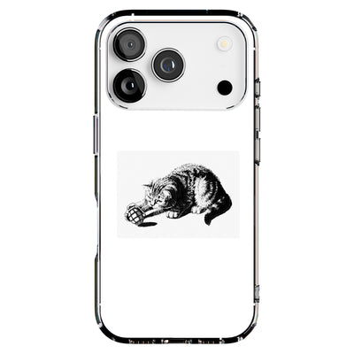 Hybrid Clear Style Case