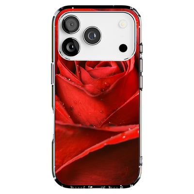 Hybrid Clear Style Case