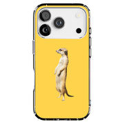 Hybrid Clear Style Case