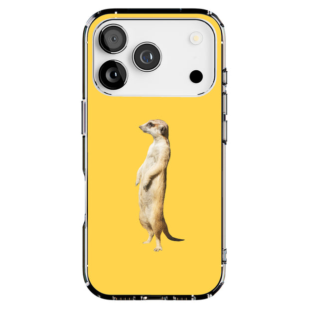 Hybrid Clear Style Case