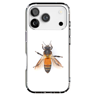 Hybrid Clear Style Case