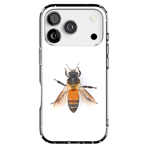Hybrid Clear Style Case