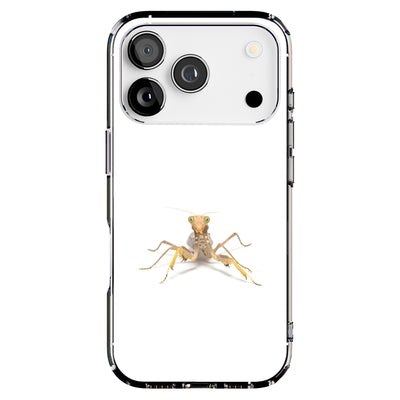 Hybrid Clear Style Case