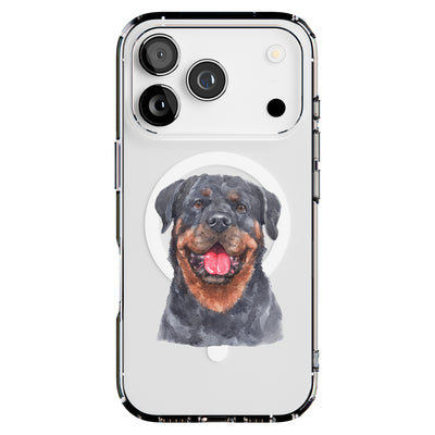 Hybrid Clear Style Case