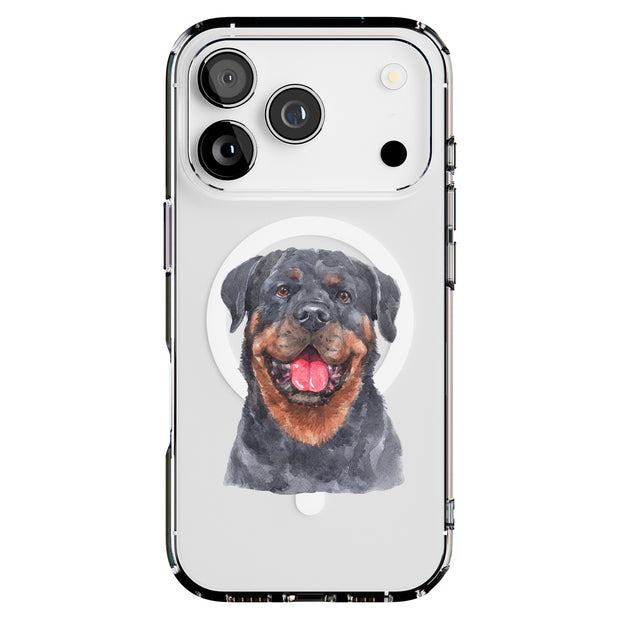 Hybrid Clear Style Case