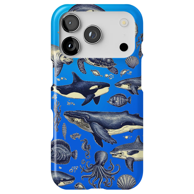 Hard Shell Style Case