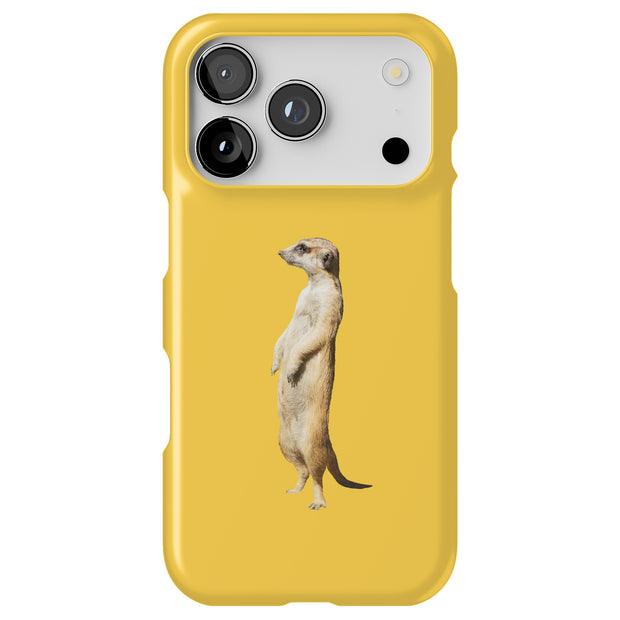 Hard Shell Style Case