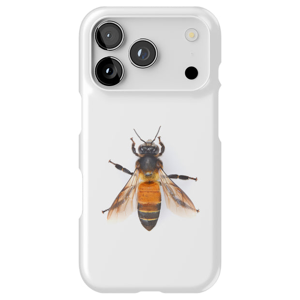 Hard Shell Style Case